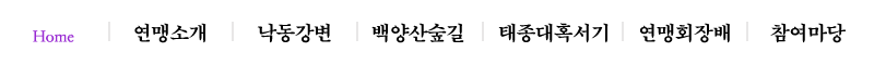 제16회 태종대혹서기전국마라톤 - 부산 마라톤 대회