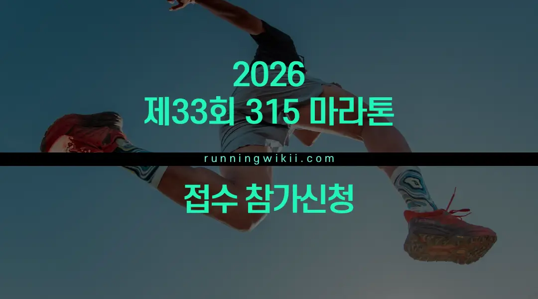 제33회 315마라톤 - 기타 마라톤 대회
